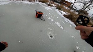 Безмотылка №1. Лучшая безмотылка при поиске рыбы!