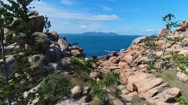 ВВС Коалы смотреть онлайн