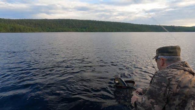 Когда решил переловить деда, но не тут то было… Дед мелочь не берет😜 смотреть онлайн