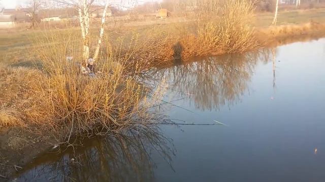 Как дети ловят рыбу.Арсений( 5 лет) и Андрюша (3 годика) смотреть онлайн