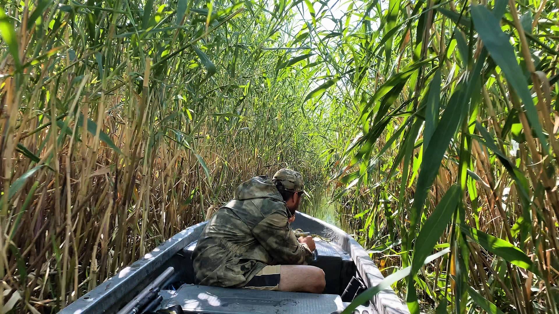СКВОЗЬ ТРОСТНИКОВЫЕ ДЖУНГЛИ ВОЛЖСКОЙ ДЕЛЬТЫ. ОНО ТОГО СТОИЛО! САЗАНЫ, СОМЫ. смотреть онлайн