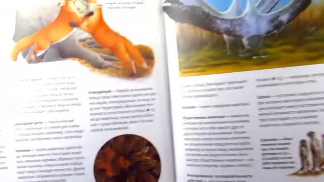 АСМР◆ASMR◆Полистаю энциклопедию, тихий шепот, шуршание страниц смотреть онлайн
