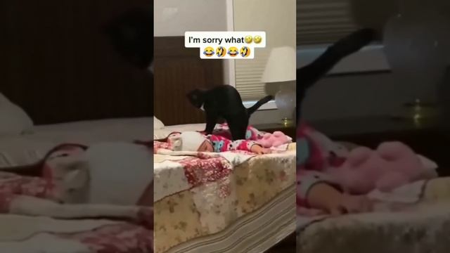 Массаж от котэ смотреть онлайн