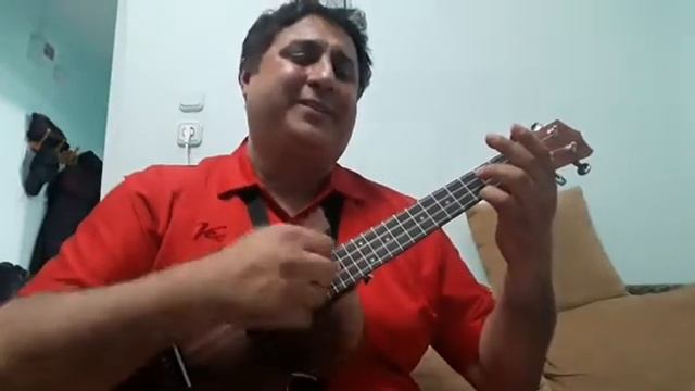 Gül döktüm yollarına - Ukulele смотреть онлайн
