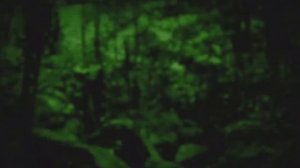 10 Динозавров, Снятых на Камеру