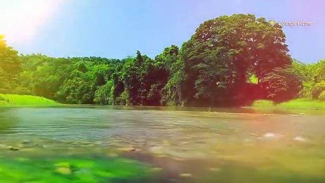 *К берегам Мечты* & *The Snow* смотреть онлайн