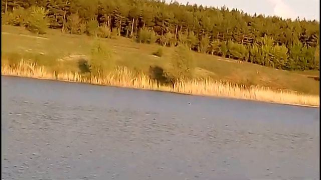 Чистый пруд, Котовский р-он, Волгоградская обл. смотреть онлайн