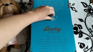 распаковываю собачку Лаки Доги Мальтийская болонка, отличная игрушка!