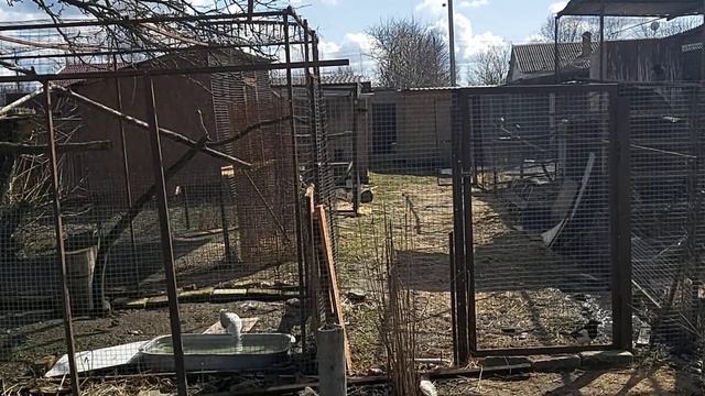 Сорока Рорик и другие 10 04 21 г смотреть онлайн