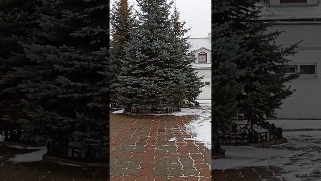 Здесь даже ёлки чирикают смотреть онлайн