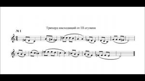 РАЗВИТИЕ АБСОЛЮТНОГО СЛУХА. КИРЮШИН В. В.  УПР-1/158