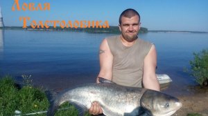Ловля Толстолобика
