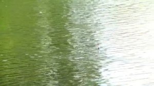 В Моховой Пади продолжается благоустройство общественной территории у ручья Буяновский