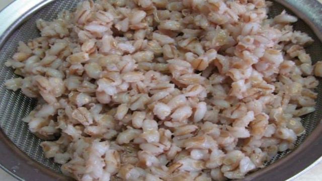 Сборник рецептов