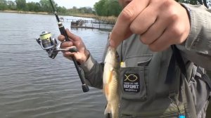 НАНО-ДРОПШОТ карась целенаправленно