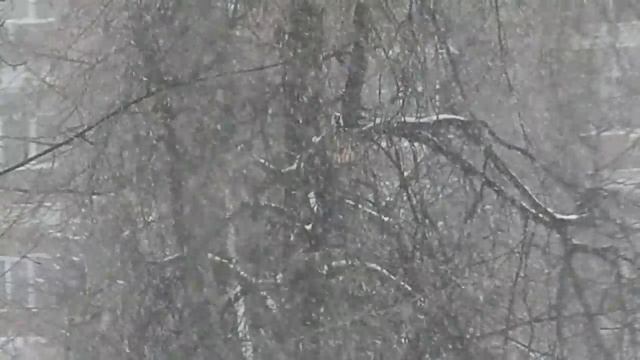 Такого снегопада давно не помнят здешние места.... смотреть онлайн