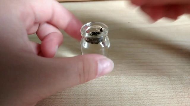 Как сделать зелье удачи. смотреть онлайн