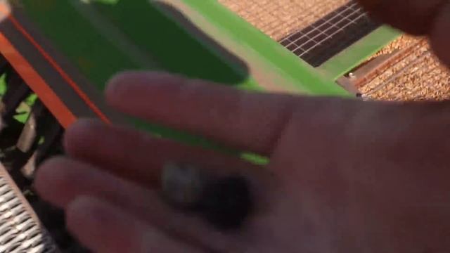 Начало осеннего сева. Переезд на поле. Кировец с тандемом. смотреть онлайн