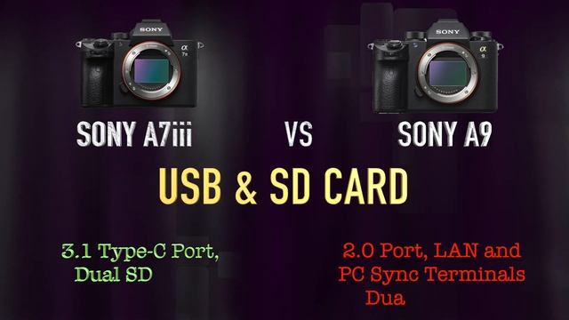 Sony A7iii vs Sony A9 full comparison смотреть онлайн