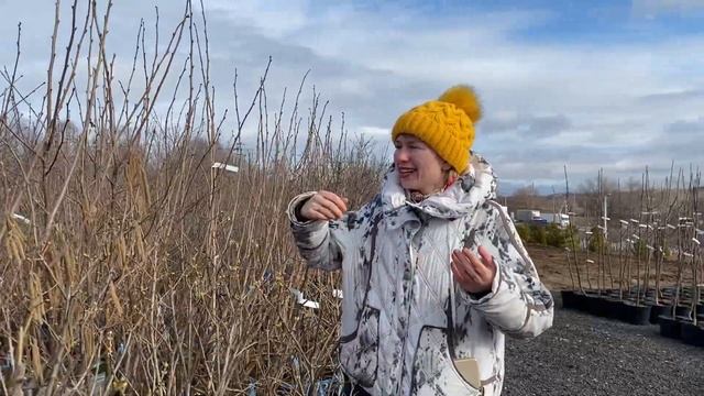 Сад мечты: один день из жизни садового центра смотреть онлайн
