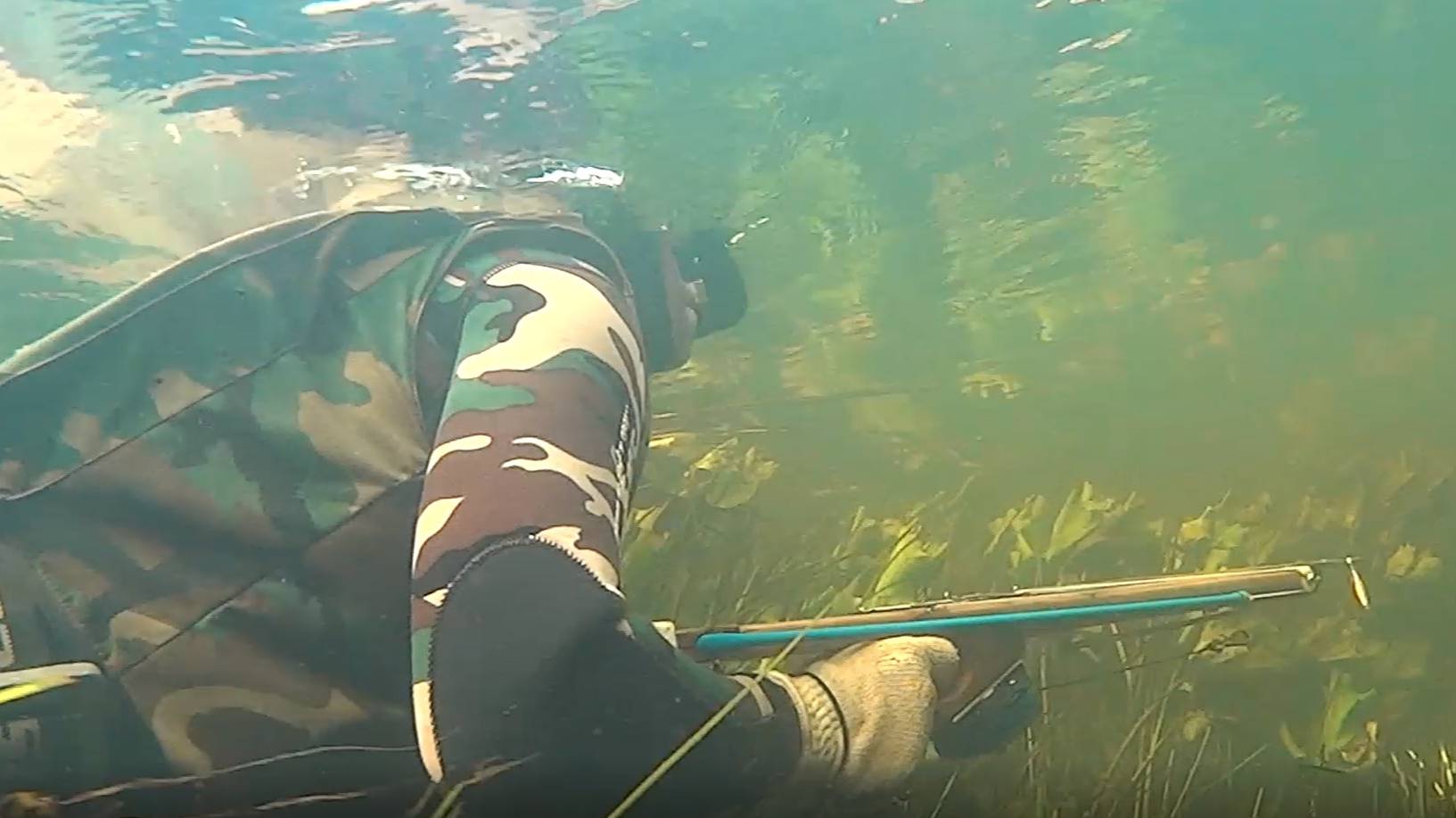 Подводный Псел смотреть онлайн