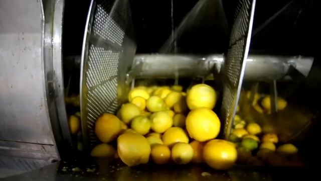 Что такое эфирное масло doTERRA? смотреть онлайн