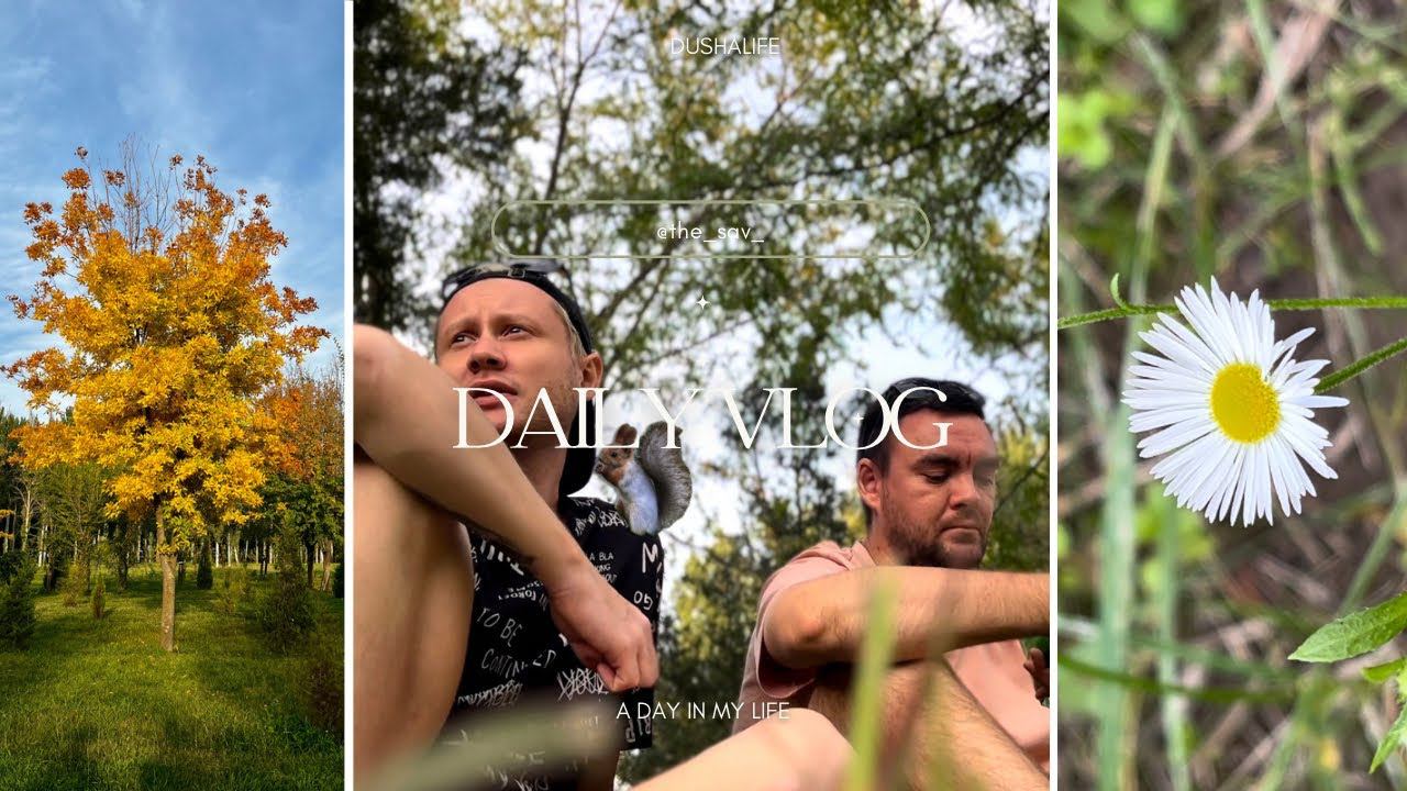 Моя внутренняя бабка / Осеннее настроение смотреть онлайн