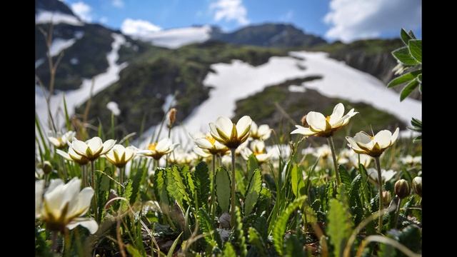 Чётки Богов. Глава 10. Учение сибирских шаманов. Аудиокнига. смотреть онлайн