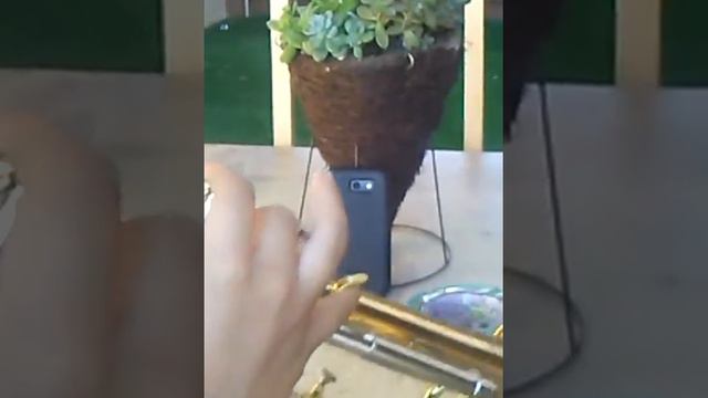 My brother is playing trumpet смотреть онлайн