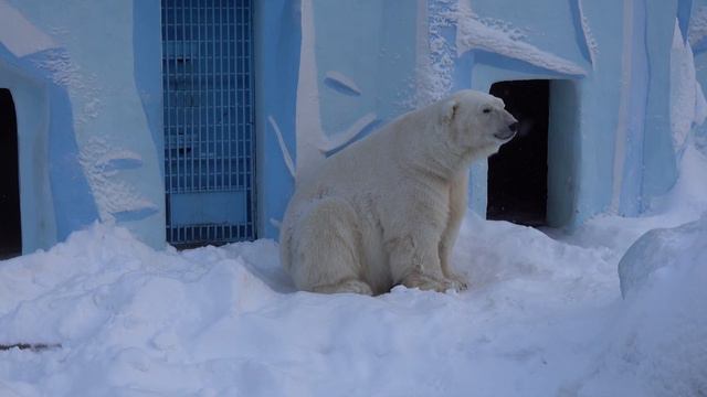 Кай попозировал, приготовил постель и лег спать. 29.12.2022 смотреть онлайн