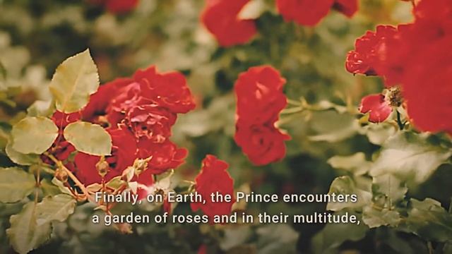 The Little Prince (Book Summary) смотреть онлайн