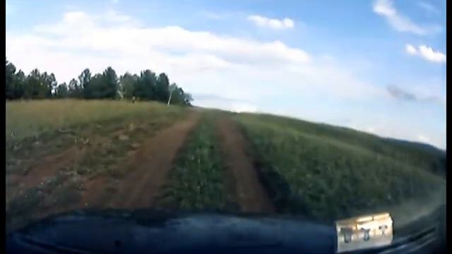 покатульки по полям, по лесам смотреть онлайн