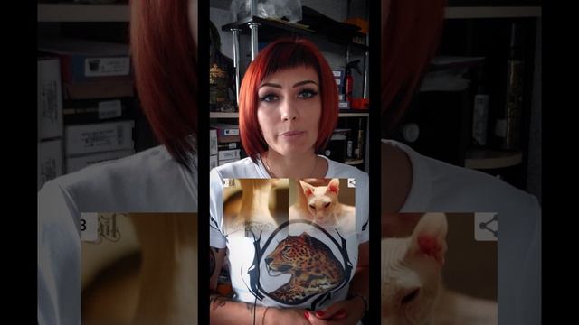 Татуировки на животных