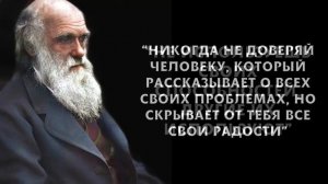 Лучшие Еврейские Пословицы и Поговорки о жизни, доверии и мудрости | Еврейские цитаты и Афоризмы