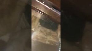 Опрессовка ГБЦ Фольксваген крафтер 2.5