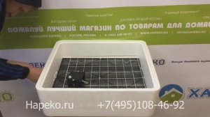 Обзор инкубатора Несушка на 63 яйца
