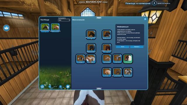 STAR STABLE ONLINE\\Покупка лошади Американский кватерхорс смотреть онлайн
