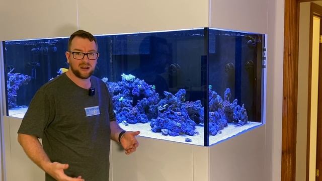 Aquarium Glass Cleaning 101 (and giveaway!)