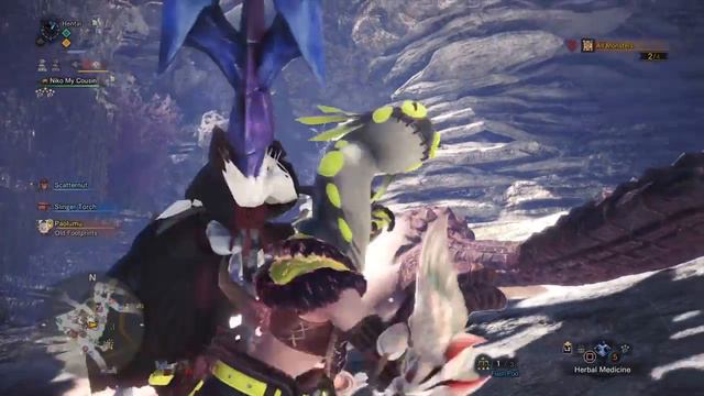 Monster Hunter: World Coral Waltz Event Quest Insect Glaive Solo