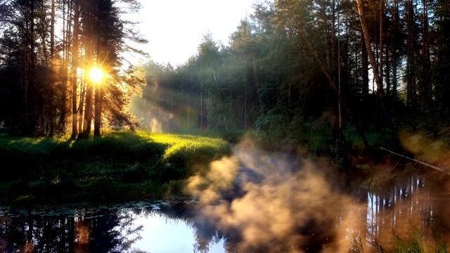 Моя малая родина для РДКБ со стихотворением
