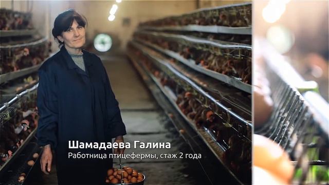 Горнодобывающий сектор Кыргызской Республики (рус) смотреть онлайн