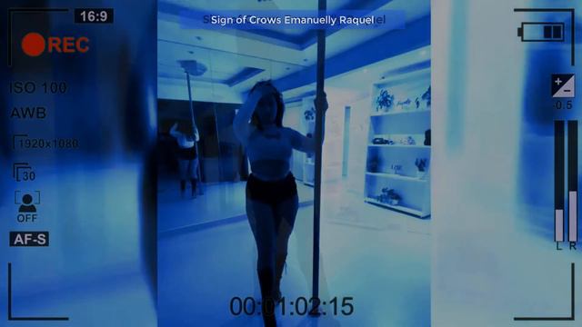 Sign Of Crows Feat Emanuelly Raquel - Believe ( Dance Video ) смотреть онлайн