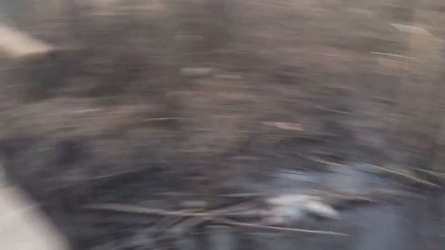 VLOG.Чем я занимаюсь на карантине✌️