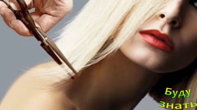 Срок жизни волос и шерсти. Почему никак не отрастить волосы?Волосы и Шерсть смотреть онлайн
