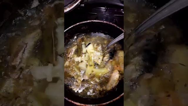 КОНСЕРВЫ ИВАСИ .СВАРИЛА КОЕ-ЧТО ПОКУШАТЬ.