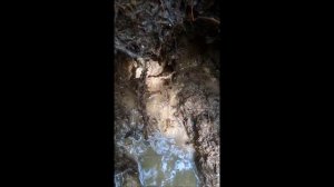 Как выкопать родник. Родник обходчика путей