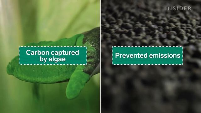 How Plastic Made With Algae Can Clean Waterways | World Wide Waste смотреть онлайн