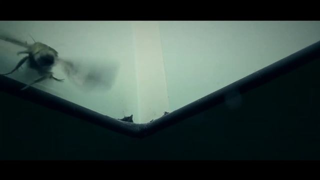 Ночная бабочка и фонарь смотреть онлайн