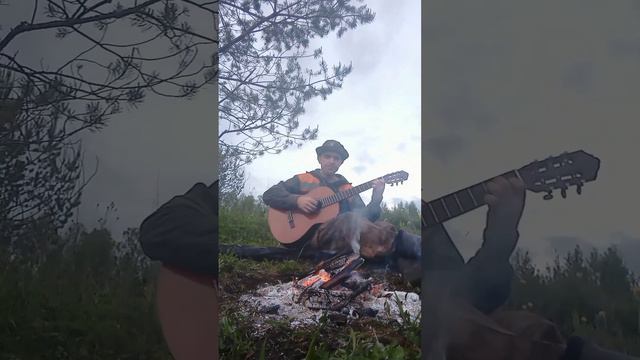Кавер на песню "Как здорово, что все мы здесь сегодня собрались" у костерка. 🙂#guitar #гитара смотреть онлайн