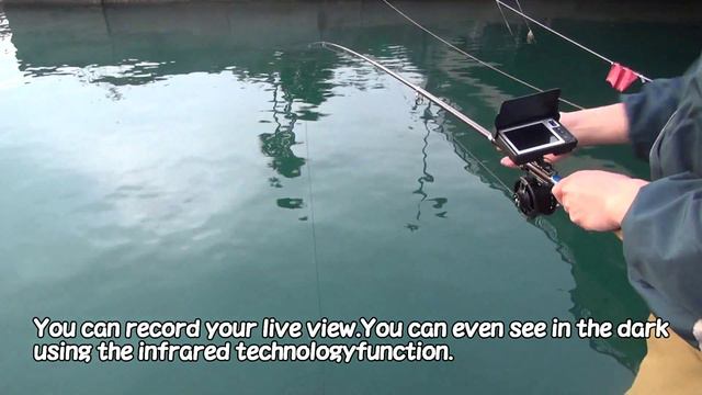 Fishing rod Big catch a view of the fishing gear underwater surprise BIGCATCH смотреть онлайн